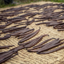 Sansibar Vanille Schoten BIO - 3 Stk.