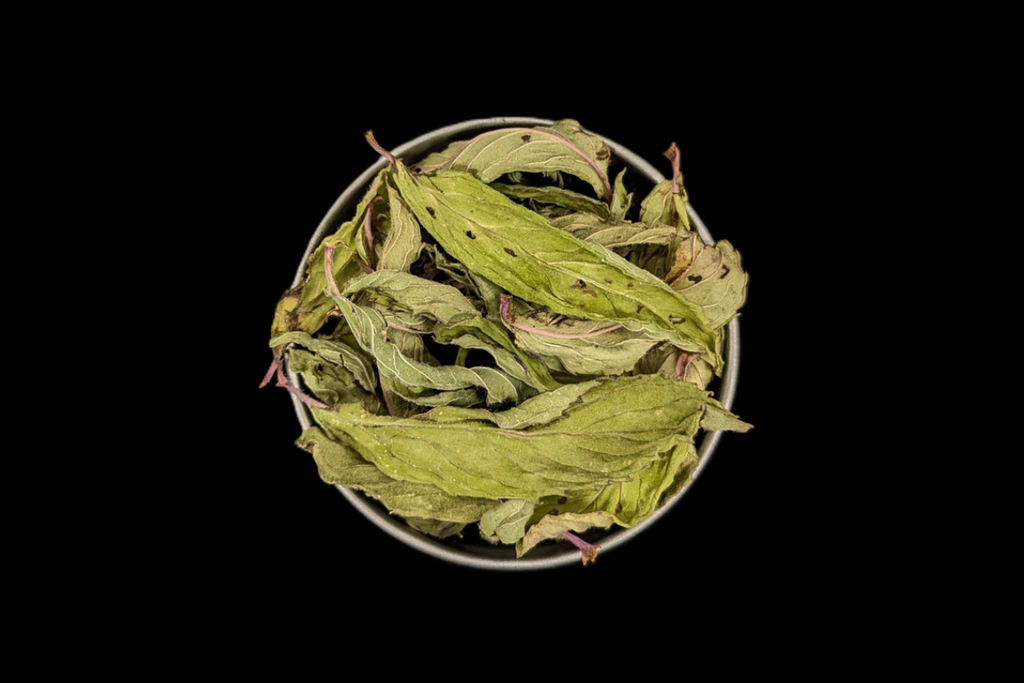 KT Pfefferminze BIO TOP - 20g