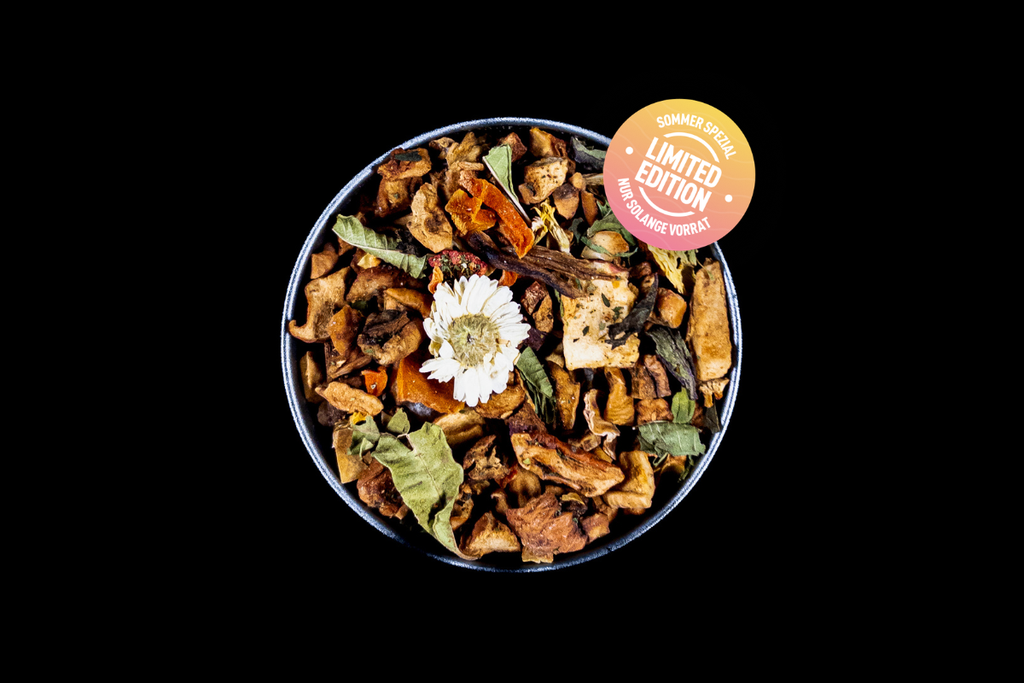 FT Waldwichtel (S26) - Beutel