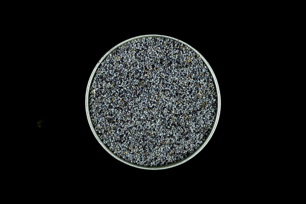 Blaumohnsamen BIO - 70g