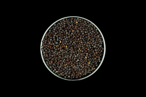 [A11688P] Senf Schwarz BIO Ganz - 80g