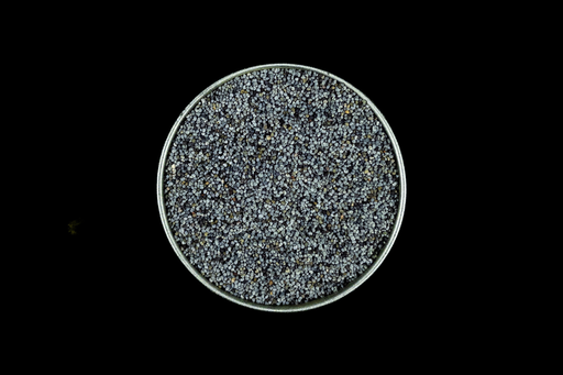 [A11223P] Blaumohnsamen BIO - 70g