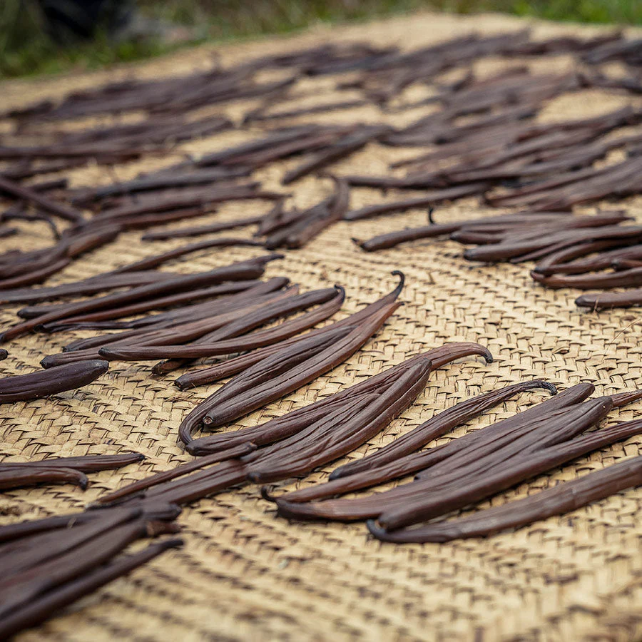 Vanille Schoten Sansibar - 2 Stück