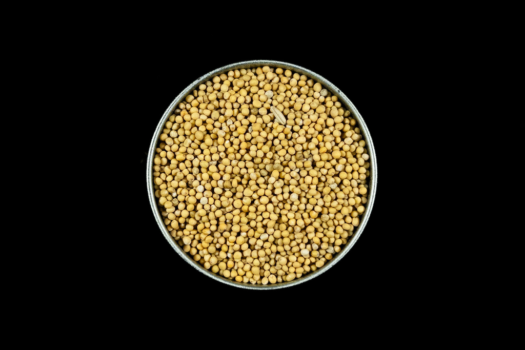 Senf Gelb BIO Ganz - 80g