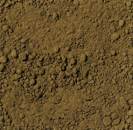 Japan Hojicha BIO Pulver - 100g