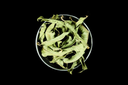KT Verveine Brai Loi BIO - 20g