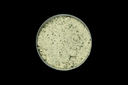 Selleriesalz BIO - BECHER