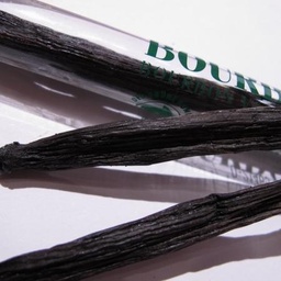 [A10301] Bourbon Vanille Schote - 1 Stk.