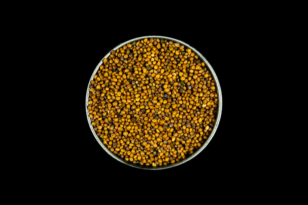 Senf Gold BIO Ganz - 80g