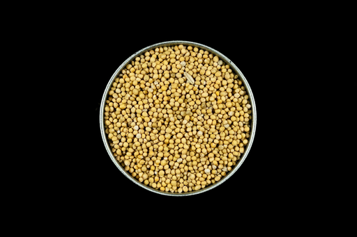 [A10177P] Senf Gelb BIO Ganz - 80g