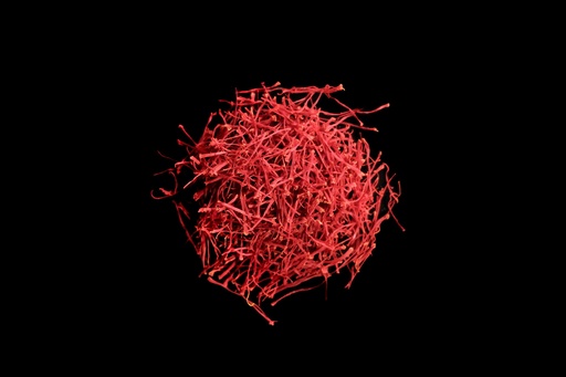 [A22132] Safranfäden aus Mund - 0.5g
