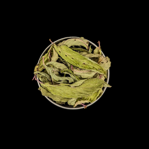 [A22587P] KT Pfefferminze BIO TOP - 20g
