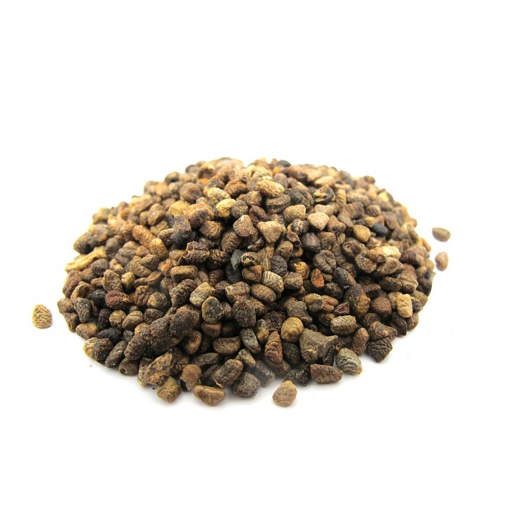 [B10024] Kardamom Saat BIO - OFFEN